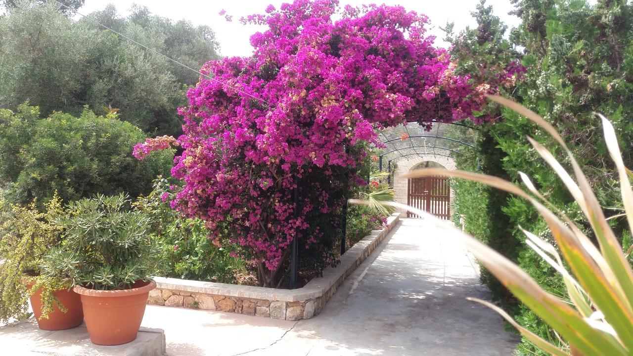 Apartamentos Villa Primera Cala Figuera  Extérieur photo